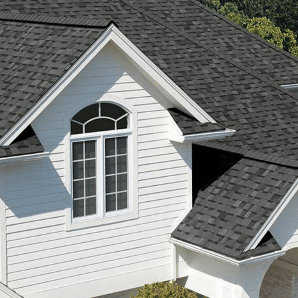 Roof Cleaning Services