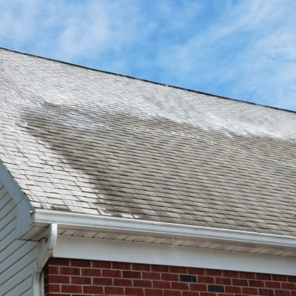 Roof Cleaning Services