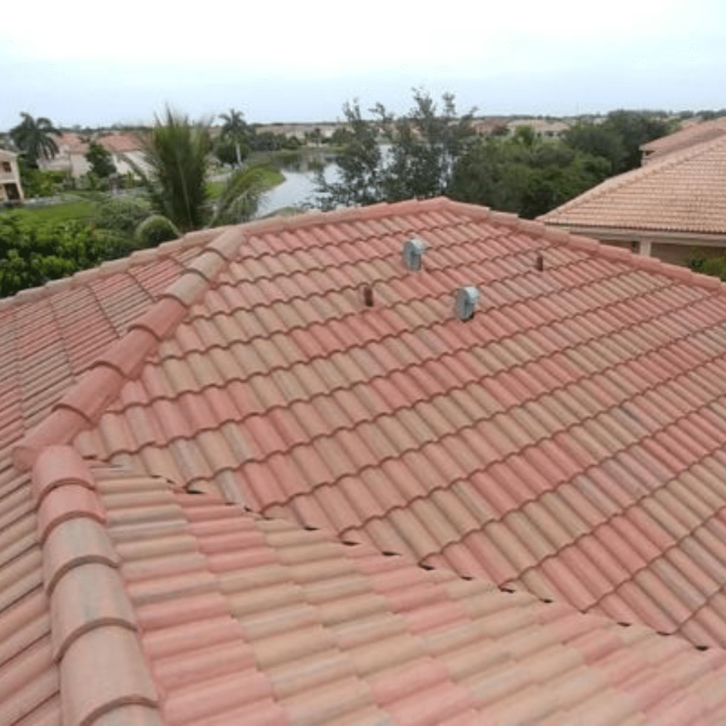 Roof Cleaning Services